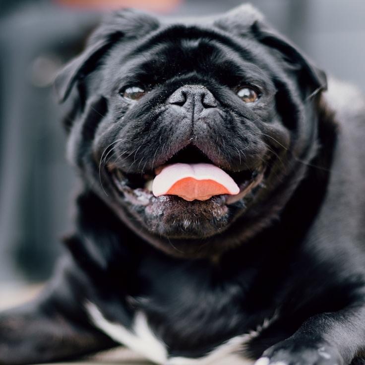 Arun Kapoor, Client Relations Director, discussing corporate gifting strategy with business clients